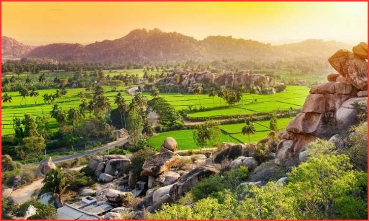 Eco-Tourism Experiences 