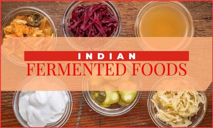 fermented food brand