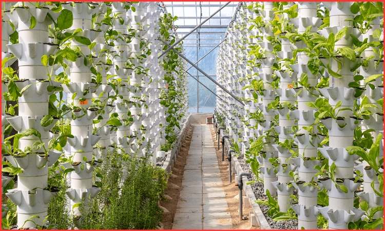 hydroponic farming kits