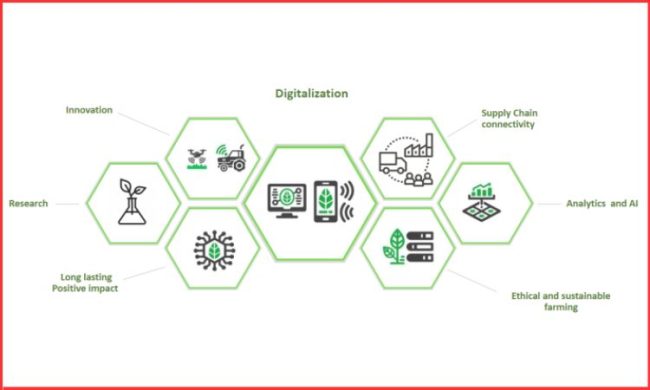Agritech Startups in India Transform Farming 2025