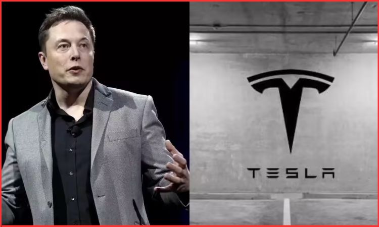 elon musk buy tesla stock