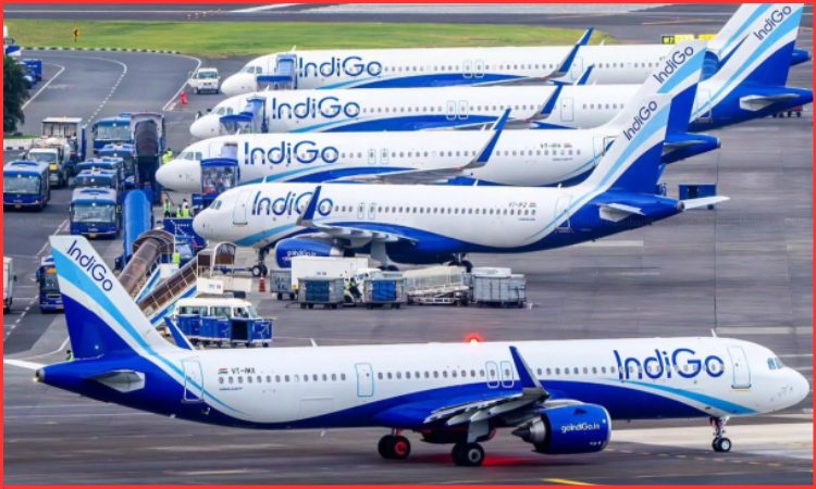 indigo airlines growth story