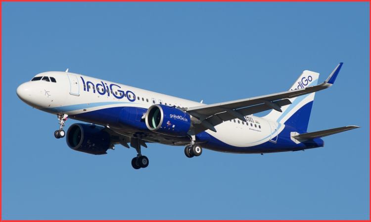 indigo airlines