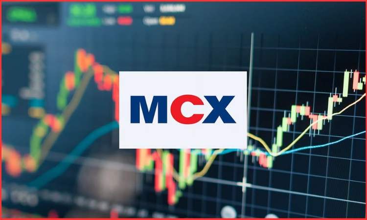 mcx share price