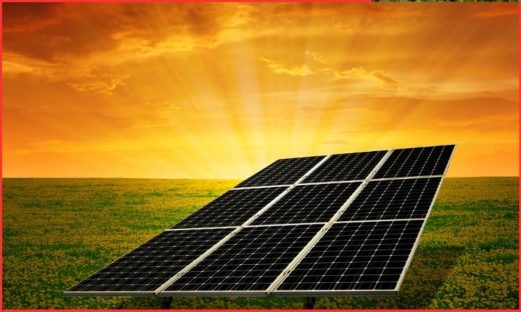 solar farm development 