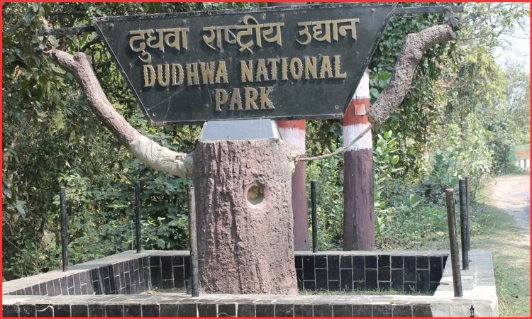 dudhwa national park