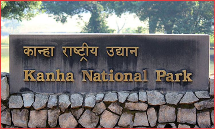 kanha national park