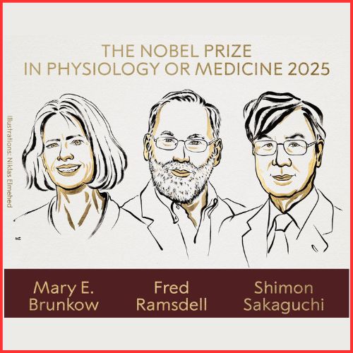 Medicine Nobel 2025 Awarded to Trio for Discovery on Immune System Control-thumnail