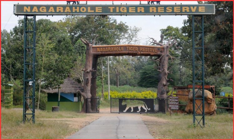 nagarhole national park