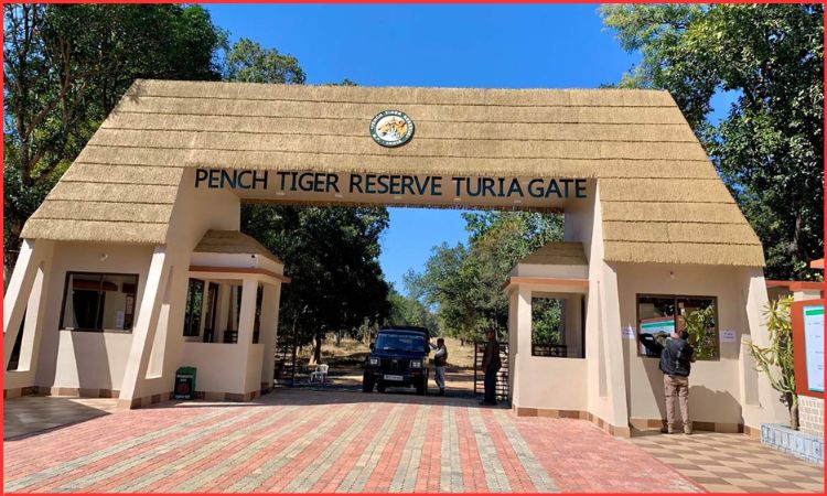 pench national park