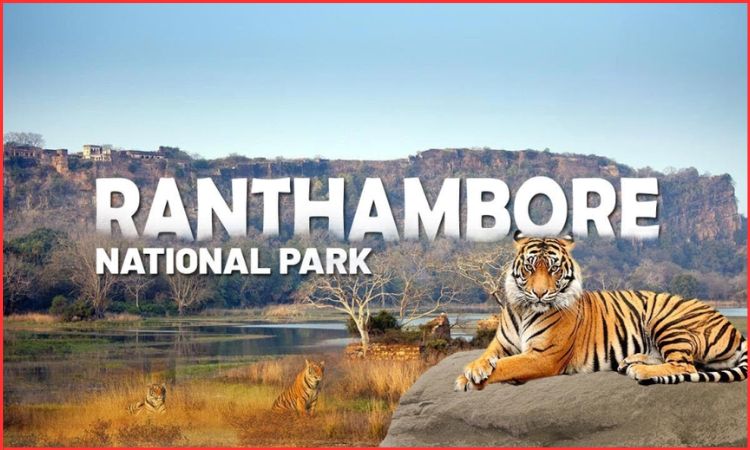 ranthambore national park