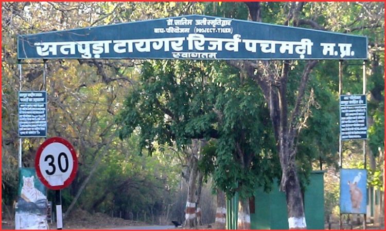 satpura national park