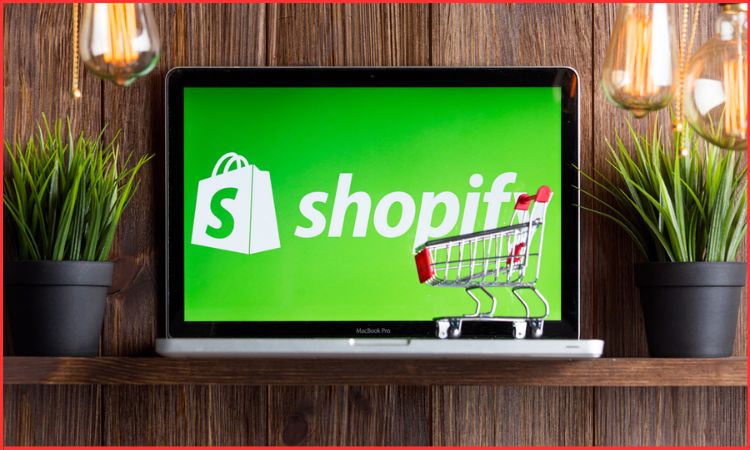 shopify business models