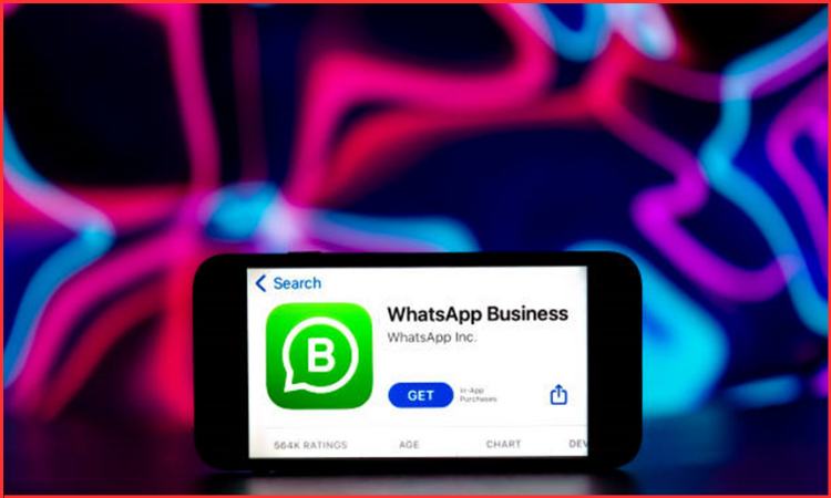 whatsapp business