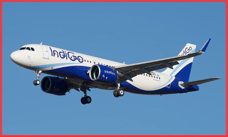 indigo flight cancellations