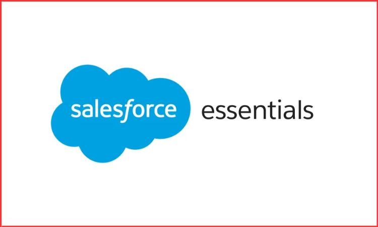 salesforce essentials