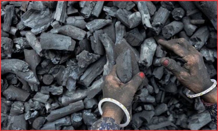 Coal India share price