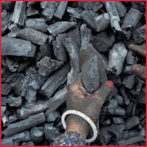 Coal India Shares Rise 6% as Company Permits Direct Foreign Participation in E-Auction-thumnail