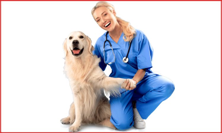 pet grooming salon in india