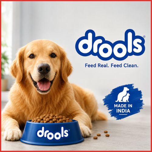 How Drools Became India’s Biggest Pet Food Company-thumnail