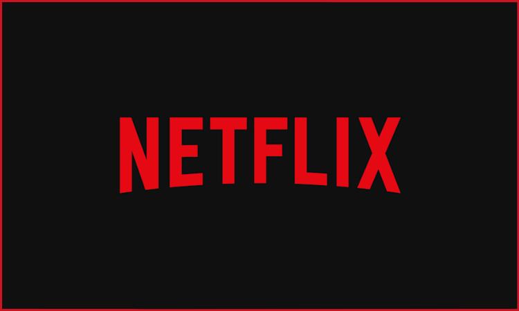 Netflix Success Story