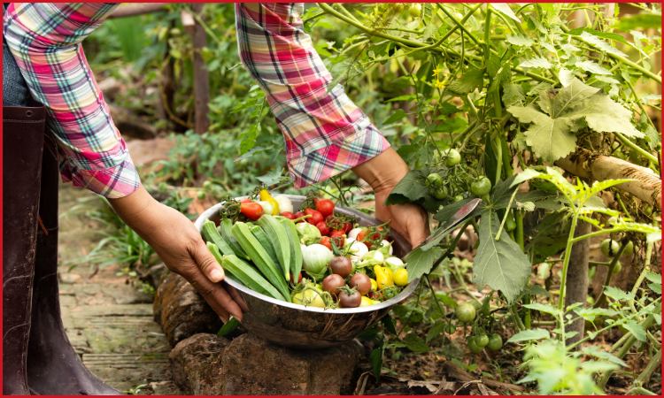 Organic Farming